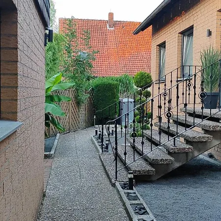 Bussardnest Am Steinhuder